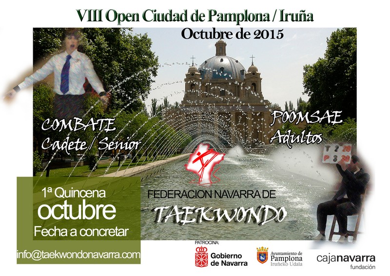 En torno a 300 Taekwondistas en el Ciudad de Pamplona